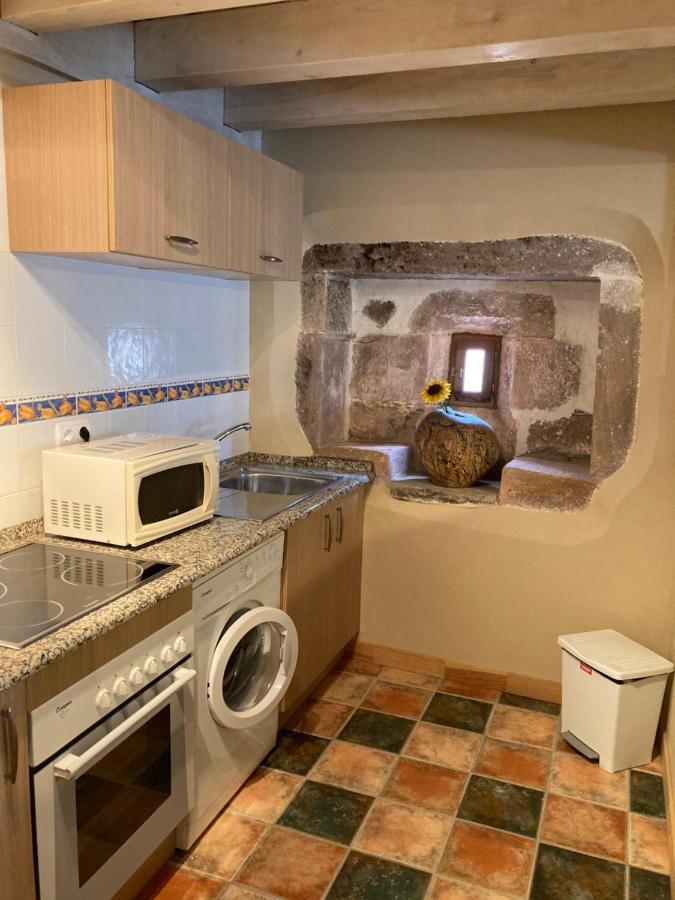 Agotxenea. Precioso Apartamento Rural En El Baztan Maya del Baztán Exteriér fotografie
